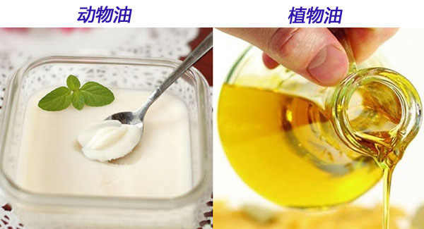 浸出油專(zhuān)家解析動(dòng)植物油哪個(gè)更健康(圖1) 浸出油設(shè)備